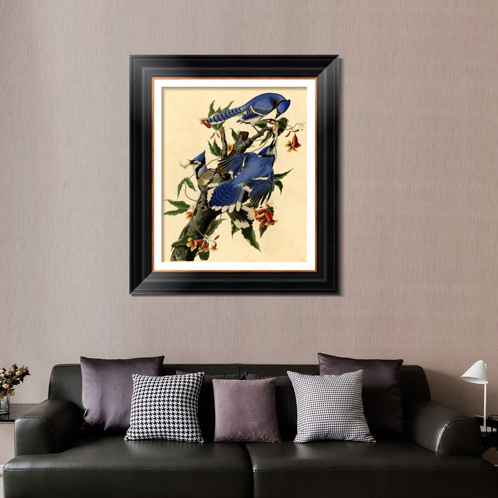 INVIN ART Framed Canvas Art Giclee Print Blue Jay by John James Audubon  Home Office Wall Art Decorations