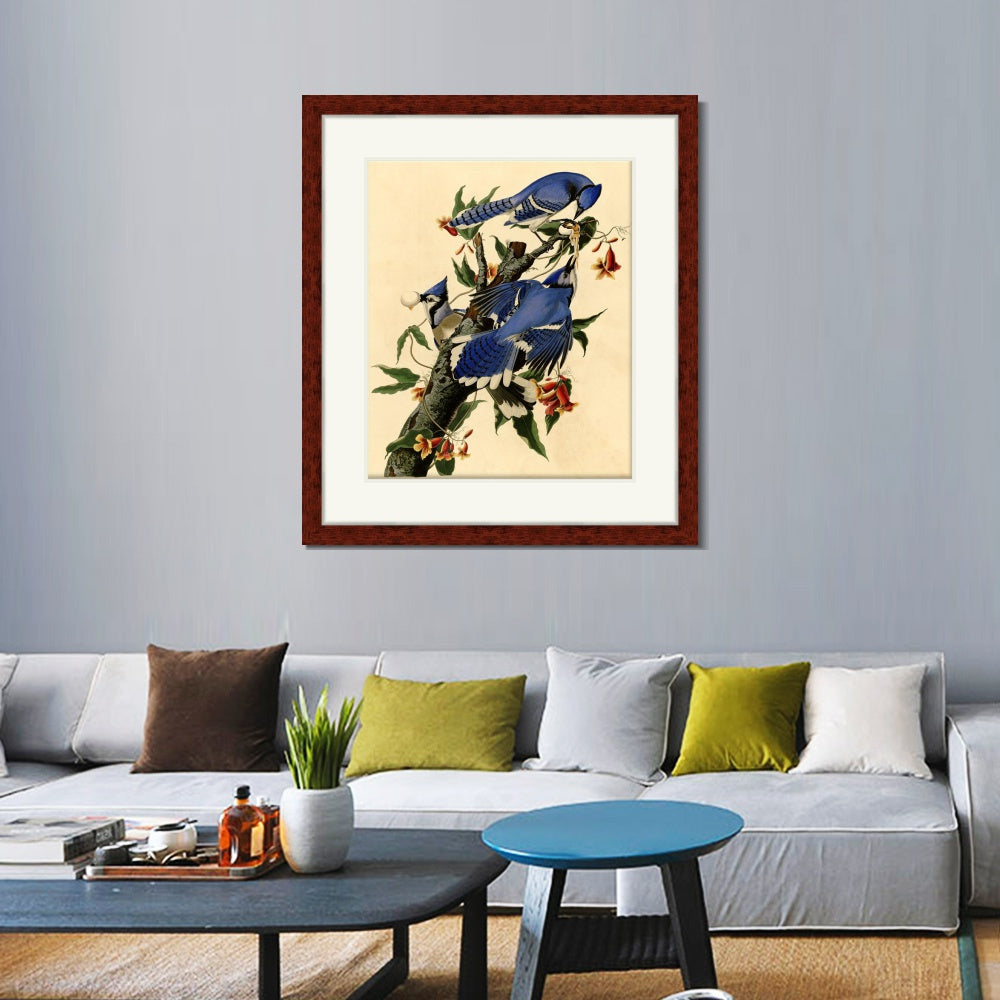 INVIN ART Framed Canvas Art Giclee Print Blue Jay by John James Audubon  Home Office Wall Art Decorations