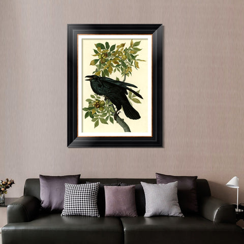 INVIN ART Framed Canvas Art Giclee Print Raven by John James Audubon Living Room Home Office Wall Art Decorations