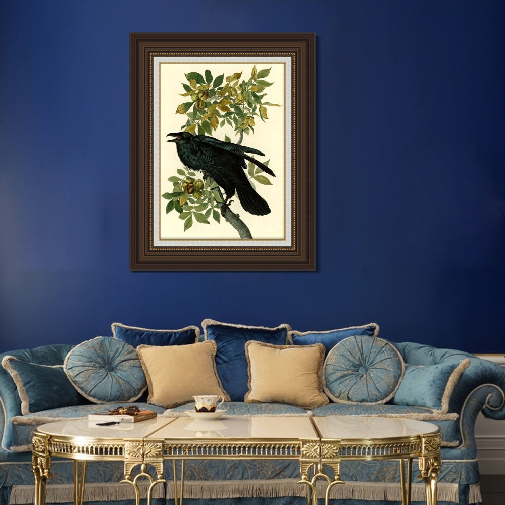 INVIN ART Framed Canvas Art Giclee Print Raven by John James Audubon  Home Office Wall Art Decorations