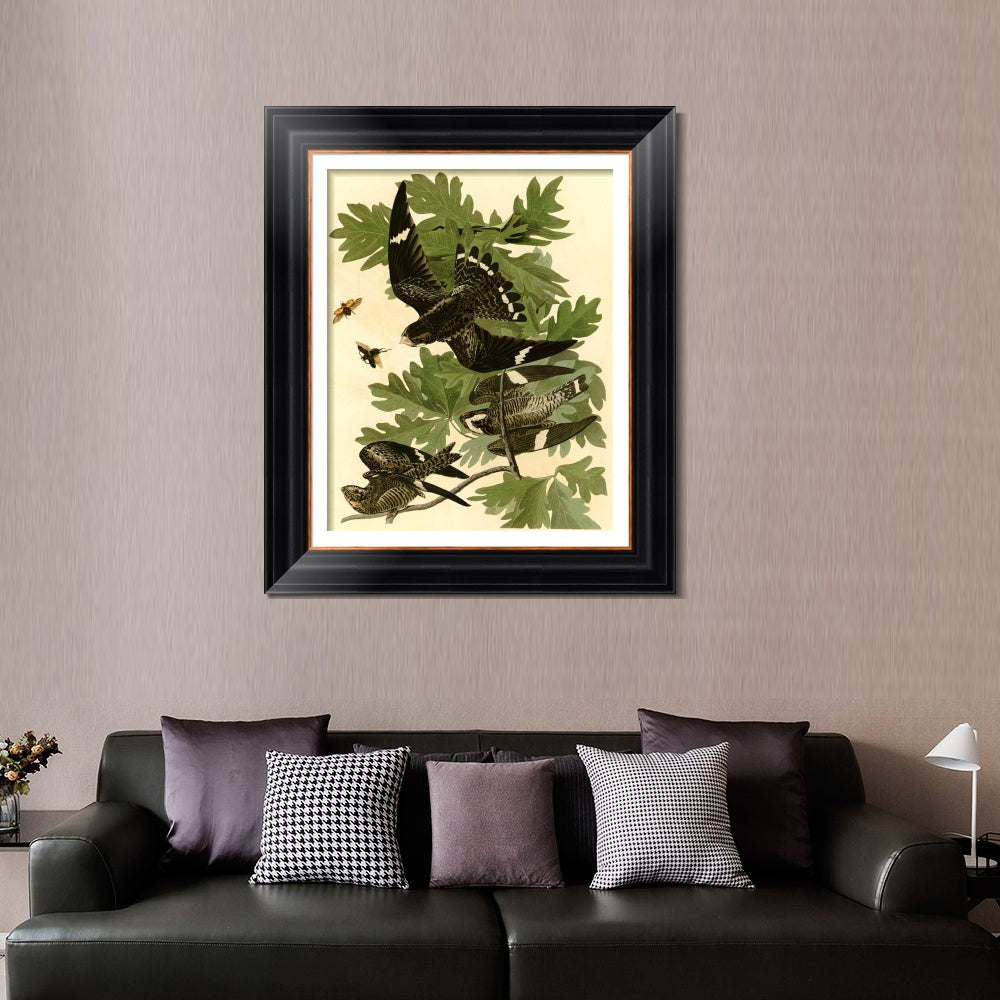 INVIN ART Framed Canvas Art Giclee Print Night Hawk by John James Audubon  Home Office Wall Art Decorations