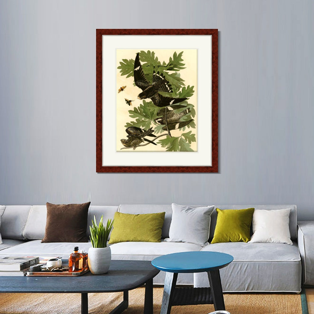 INVIN ART Framed Canvas Art Giclee Print Night Hawk by John James Audubon  Home Office Wall Art Decorations