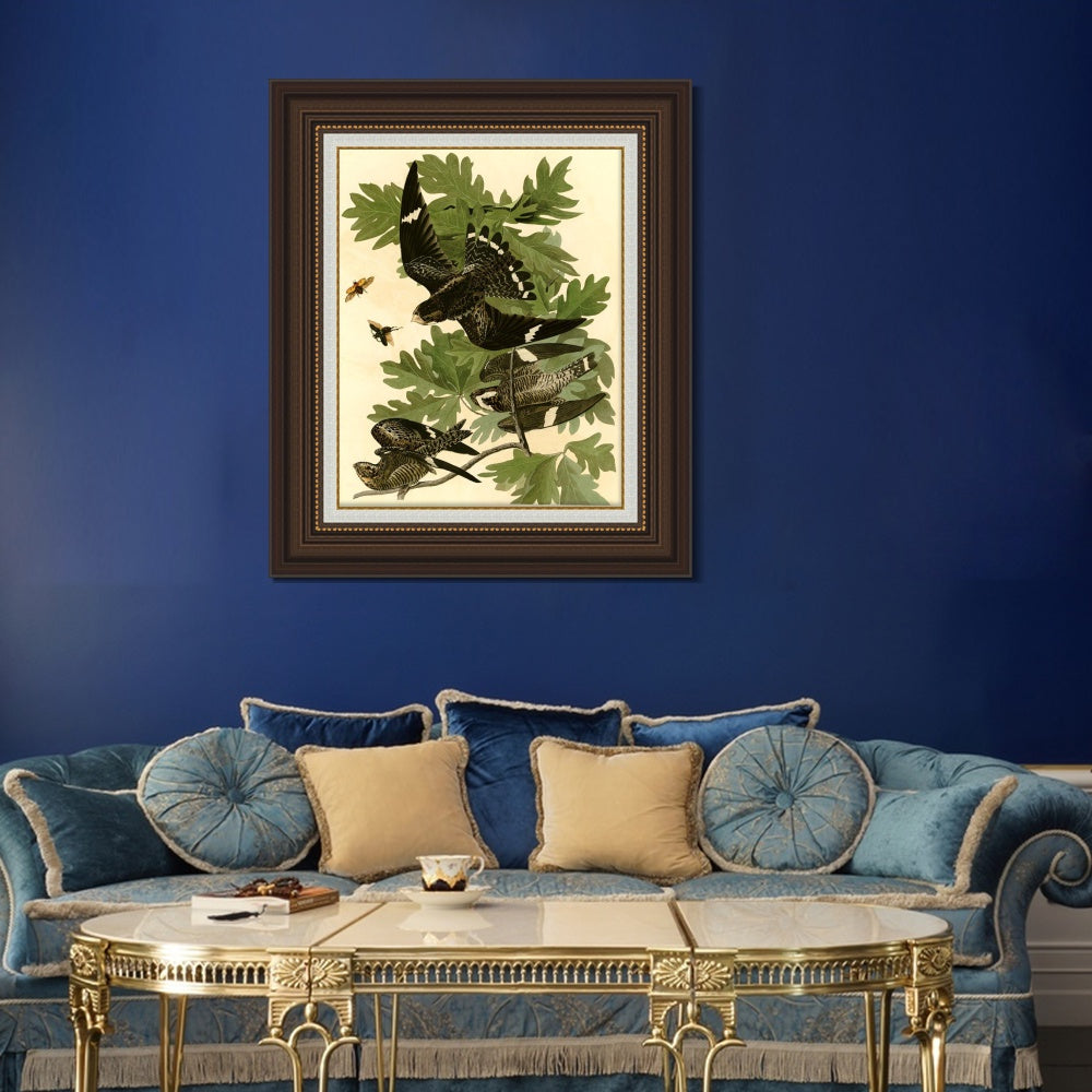 INVIN ART Framed Canvas Art Giclee Print Night Hawk by John James Audubon  Home Office Wall Art Decorations
