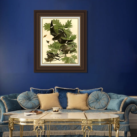 INVIN ART Framed Canvas Art Giclee Print Night Hawk by John James Audubon Living Room Home Office Wall Art Decorations