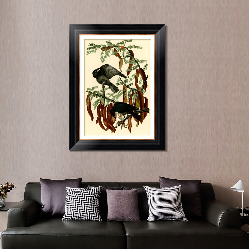 INVIN ART Framed Canvas Art Giclee Print Fish Crow by John James Audubon  Home Office Wall Art Decorations