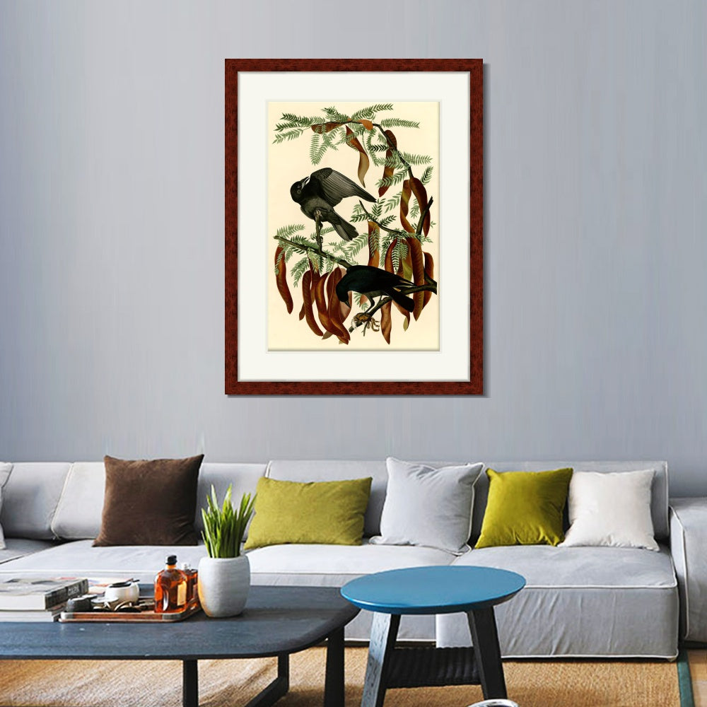 INVIN ART Framed Canvas Art Giclee Print Fish Crow by John James Audubon  Home Office Wall Art Decorations