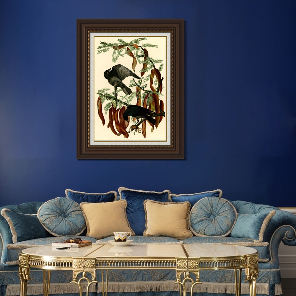 INVIN ART Framed Canvas Art Giclee Print Fish Crow by John James Audubon  Home Office Wall Art Decorations