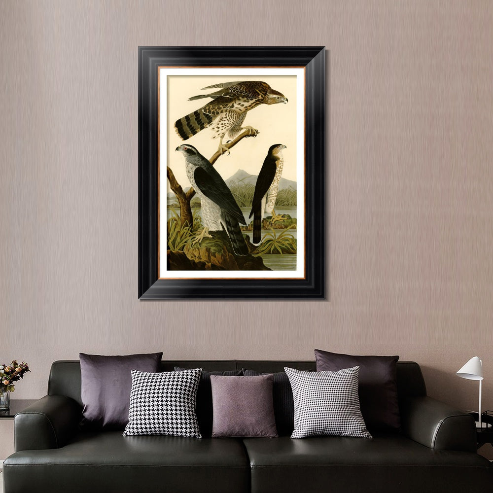 INVIN ART Framed Canvas Art Giclee Print Stanley Hawk by John James Audubon  Home Office Wall Art Decorations