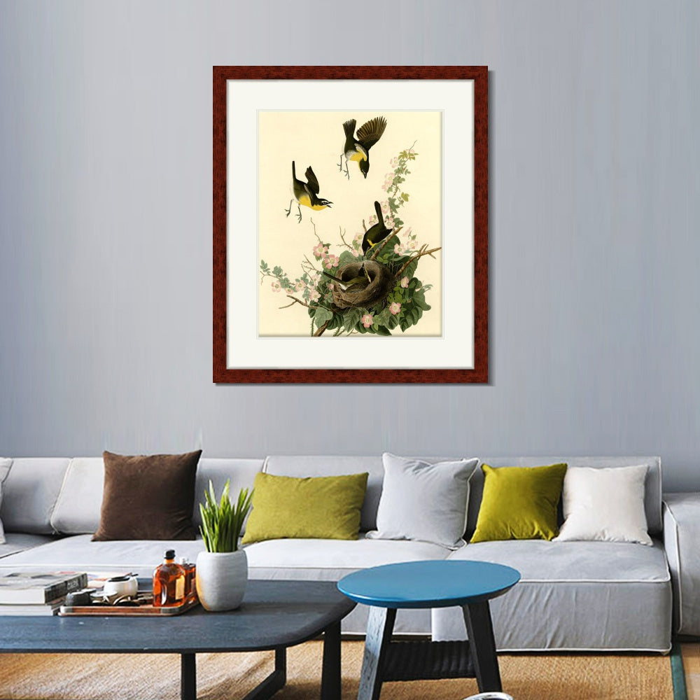 INVIN ART Framed Canvas Art Giclee Print Yellow Breasted Chat by John James Audubon  Home Office Wall Art Decorations
