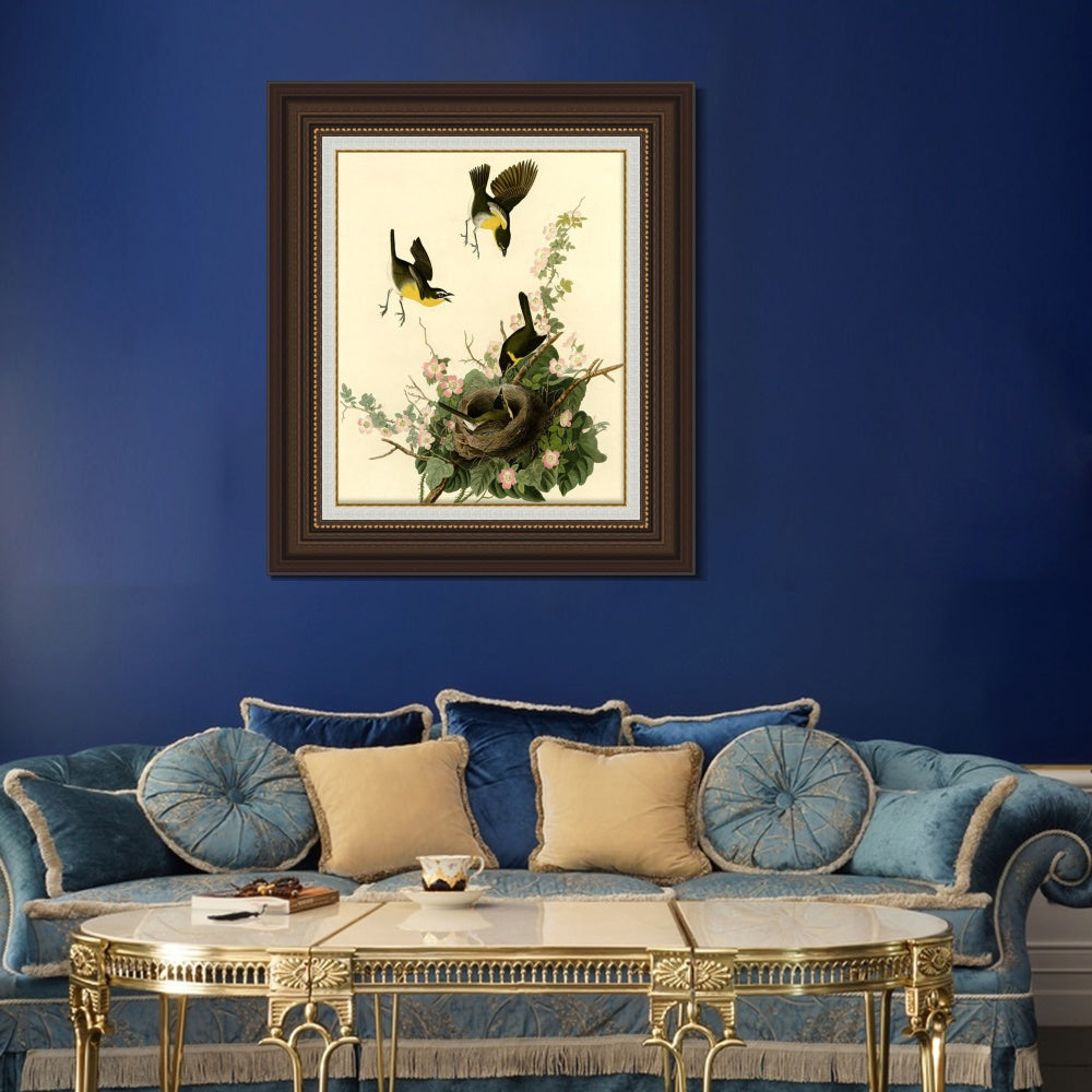 INVIN ART Framed Canvas Art Giclee Print Yellow Breasted Chat by John James Audubon  Home Office Wall Art Decorations