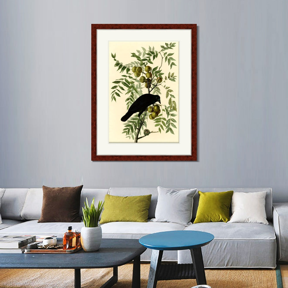 INVIN ART Framed Canvas Art Giclee Print American Crow by John James Audubon  Home Office Wall Art Decorations