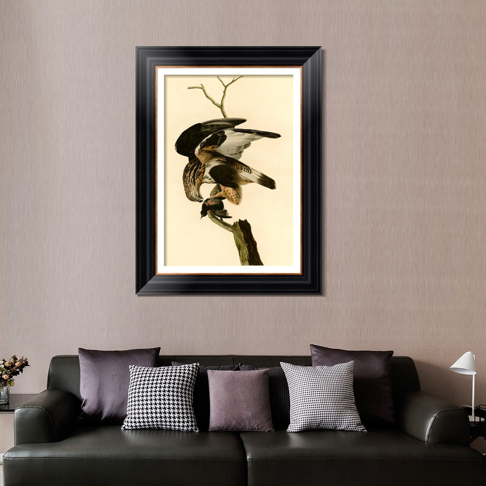 INVIN ART Framed Canvas Art Giclee Print Rough Legged Falcon by John James Audubon  Home Office Wall Art Decorations