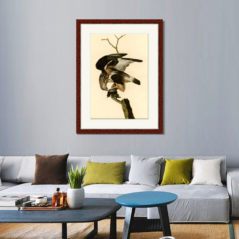 INVIN ART Framed Canvas Art Giclee Print Rough Legged Falcon by John James Audubon  Home Office Wall Art Decorations