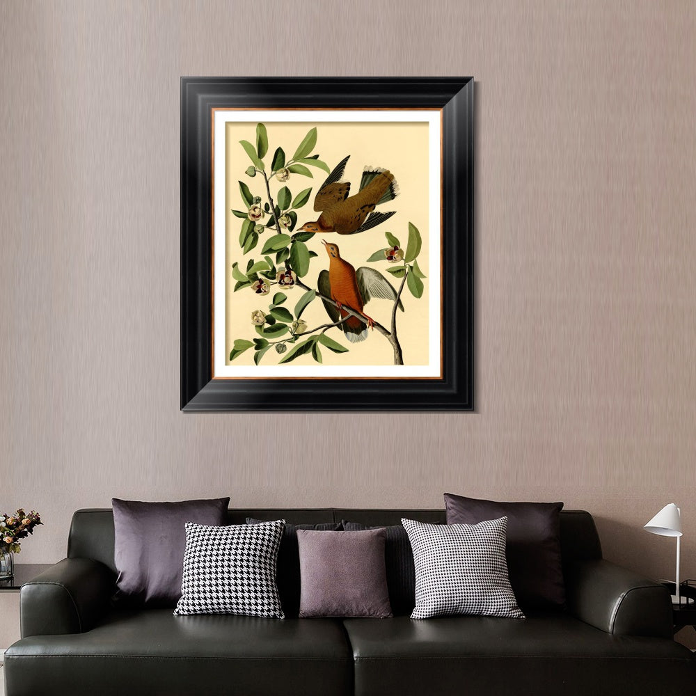 INVIN ART Framed Canvas Art Giclee Print Zenaida Dove by John James Audubon  Home Office Wall Art Decorations