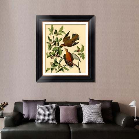 INVIN ART Framed Canvas Art Giclee Print Zenaida Dove by John James Audubon Living Room Home Office Wall Art Decorations