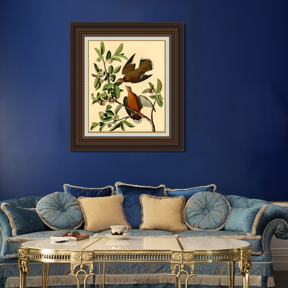 INVIN ART Framed Canvas Art Giclee Print Zenaida Dove by John James Audubon  Home Office Wall Art Decorations