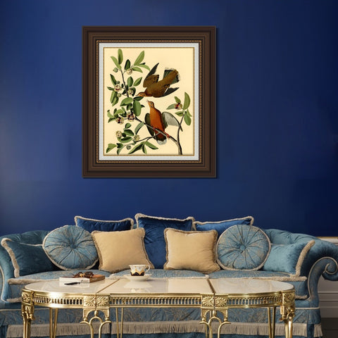 INVIN ART Framed Canvas Art Giclee Print Zenaida Dove by John James Audubon Living Room Home Office Wall Art Decorations