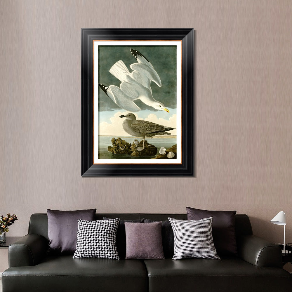 INVIN ART Framed Canvas Art Giclee Print Herring Gull by John James Audubon  Home Office Wall Art Decorations