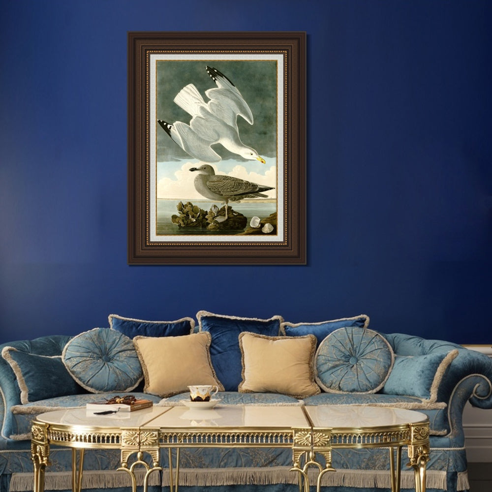 INVIN ART Framed Canvas Art Giclee Print Herring Gull by John James Audubon  Home Office Wall Art Decorations