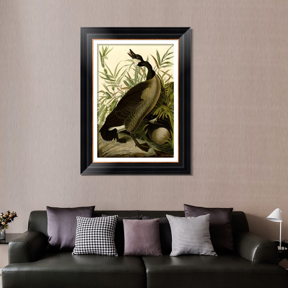 INVIN ART Framed Canvas Art Giclee Print Canada_Goose#40 by John James Audubon  Home Office Wall Art Decorations