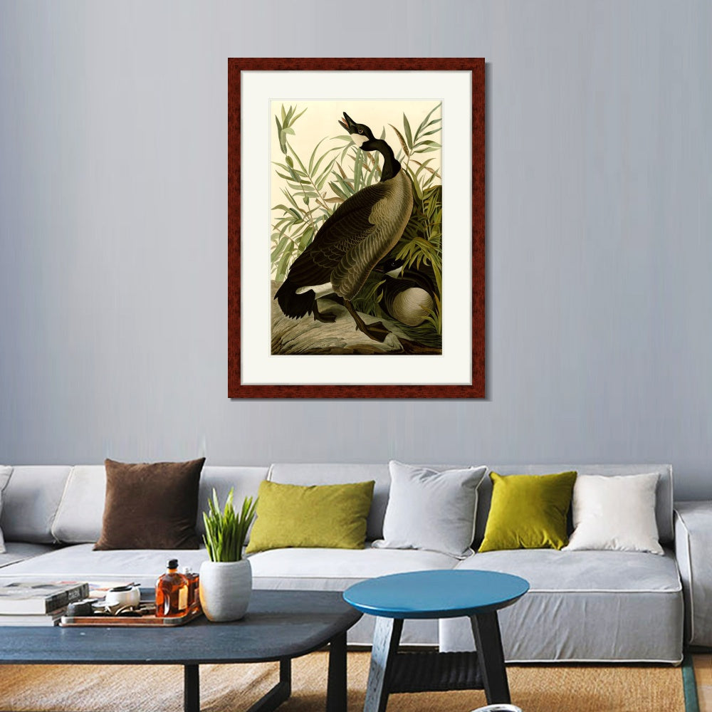 INVIN ART Framed Canvas Art Giclee Print Canada_Goose#40 by John James Audubon  Home Office Wall Art Decorations