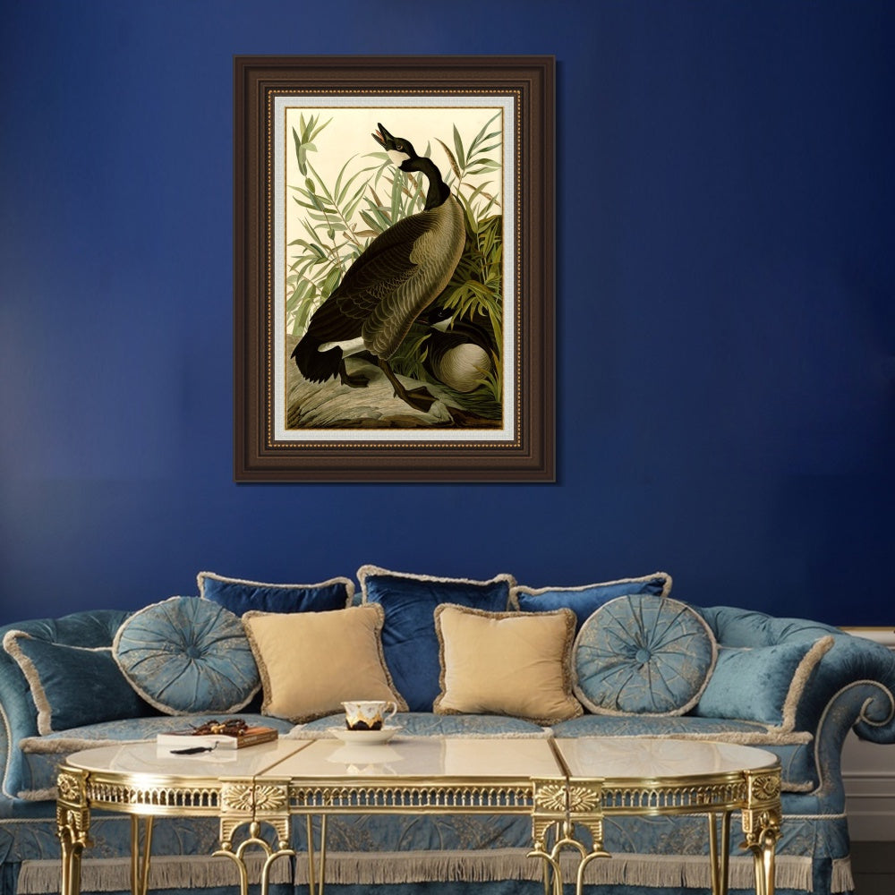 INVIN ART Framed Canvas Art Giclee Print Canada_Goose#40 by John James Audubon  Home Office Wall Art Decorations