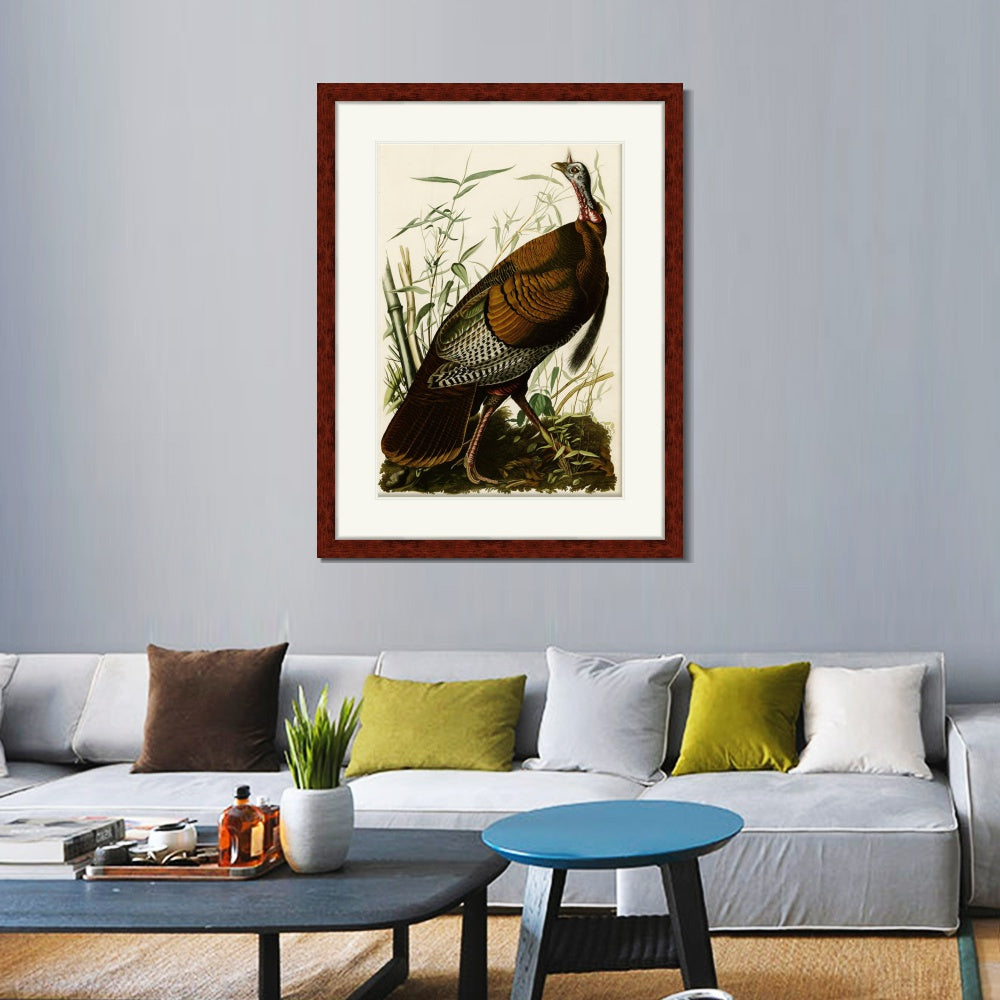 INVIN ART Framed Canvas Art Giclee Print Wild Turkey by John James Audubon  Home Office Wall Art Decorations