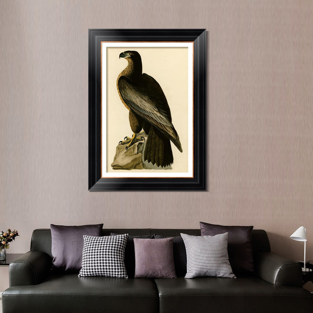 INVIN ART Framed Canvas Art Giclee Print Bird of Washington by John James Audubon  Home Office Wall Art Decorations