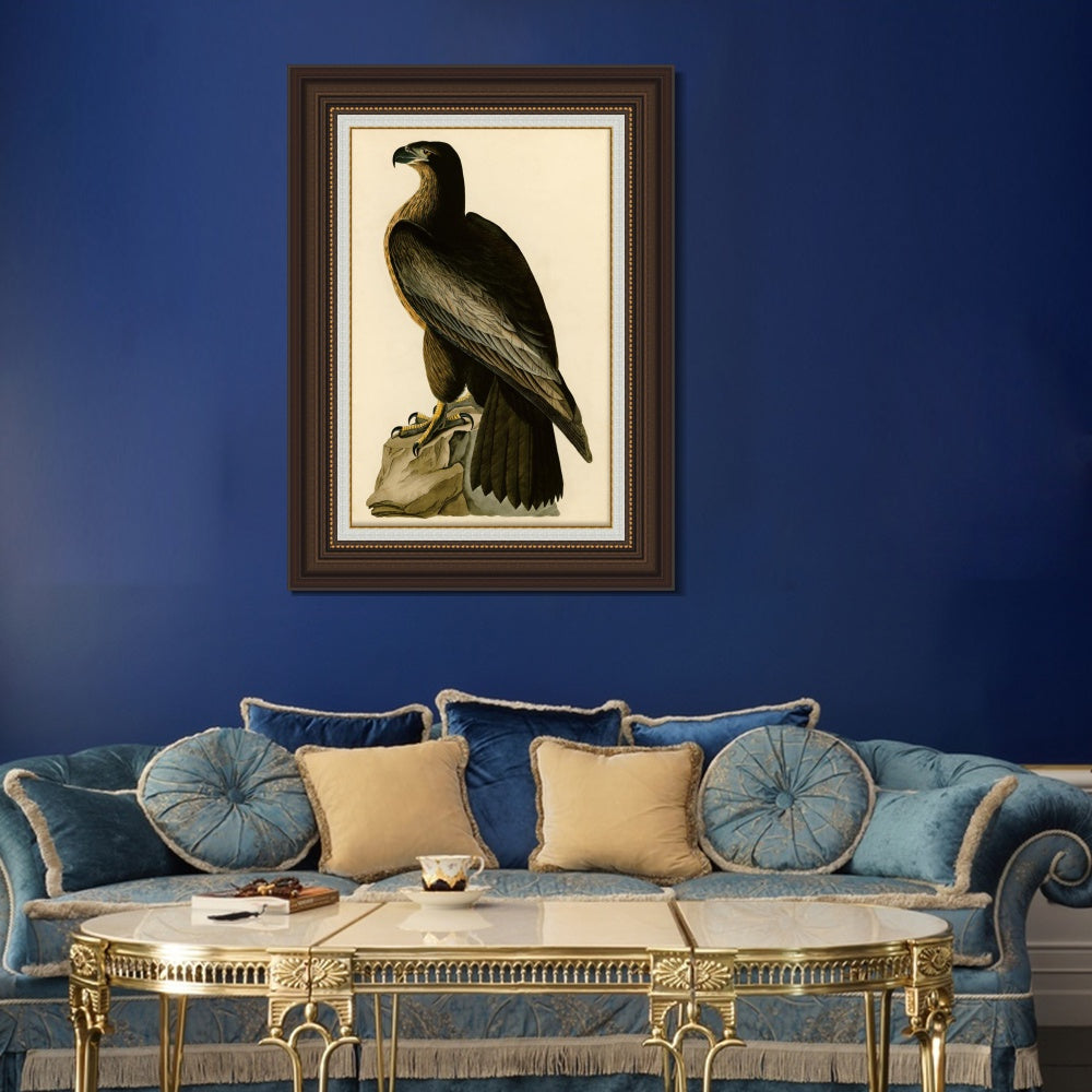 INVIN ART Framed Canvas Art Giclee Print Bird of Washington by John James Audubon  Home Office Wall Art Decorations
