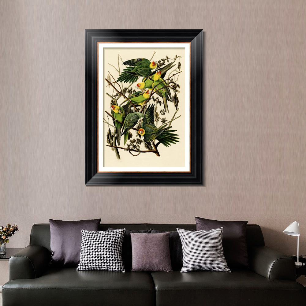 INVIN ART Framed Canvas Art Giclee Print Carolina Parrot by John James Audubon  Home Office Wall Art Decorations