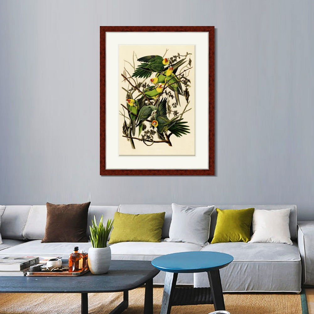 INVIN ART Framed Canvas Art Giclee Print Carolina Parrot by John James Audubon  Home Office Wall Art Decorations