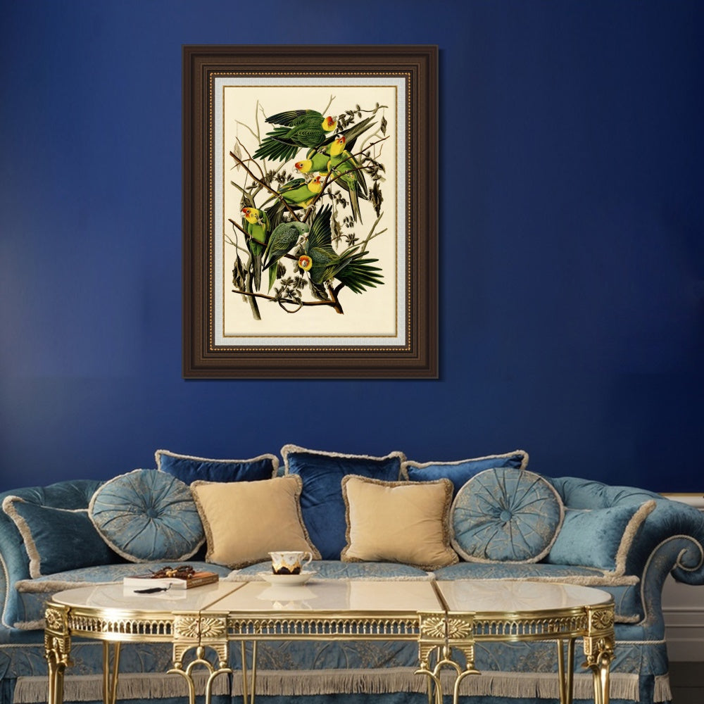 INVIN ART Framed Canvas Art Giclee Print Carolina Parrot by John James Audubon  Home Office Wall Art Decorations