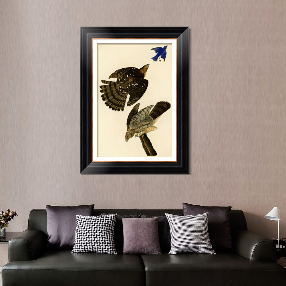 INVIN ART Framed Canvas Art Giclee Print Stanley Hawk#45 by John James Audubon  Home Office Wall Art Decorations