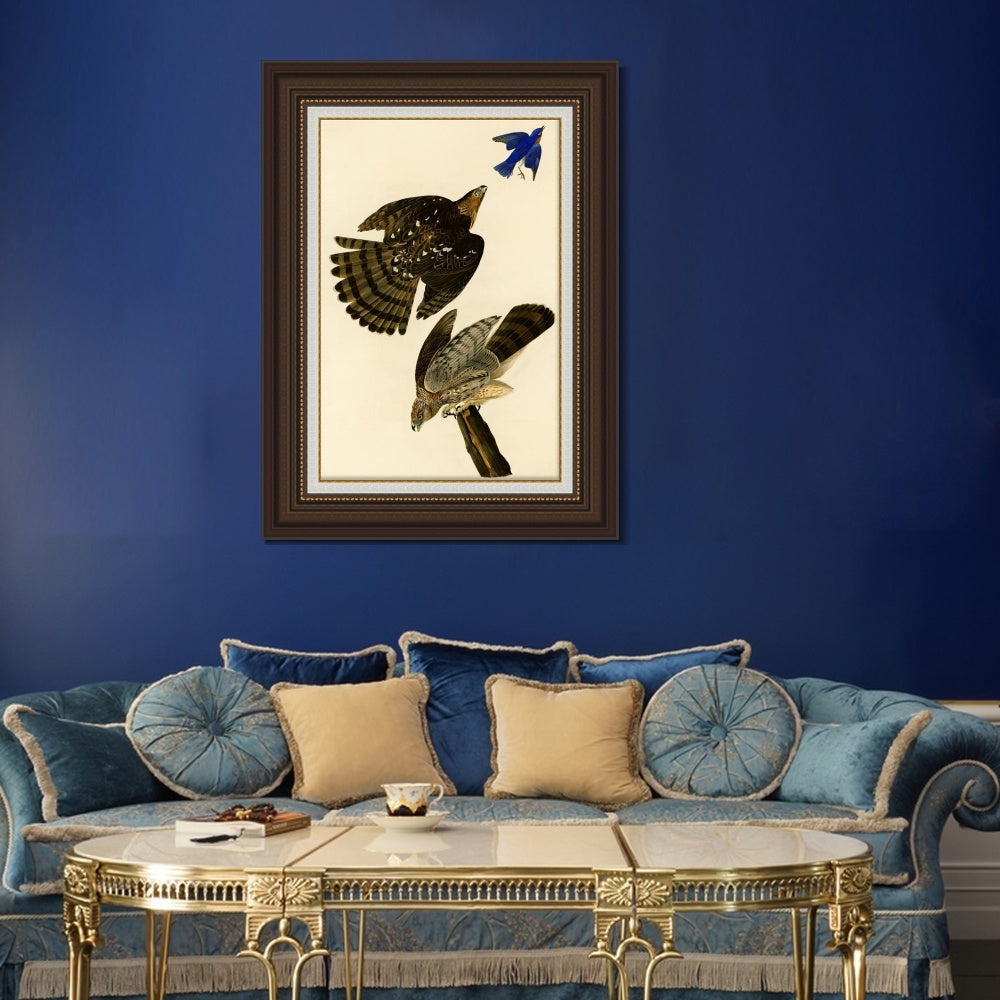 INVIN ART Framed Canvas Art Giclee Print Stanley Hawk#45 by John James Audubon  Home Office Wall Art Decorations