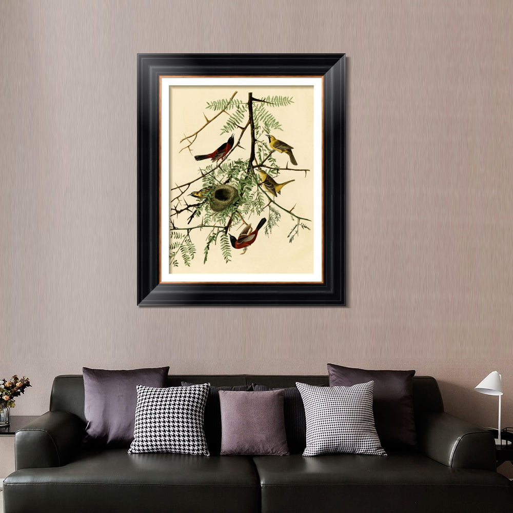 INVIN ART Framed Canvas Art Giclee Print Orchard Oriole by John James Audubon  Home Office Wall Art Decorations