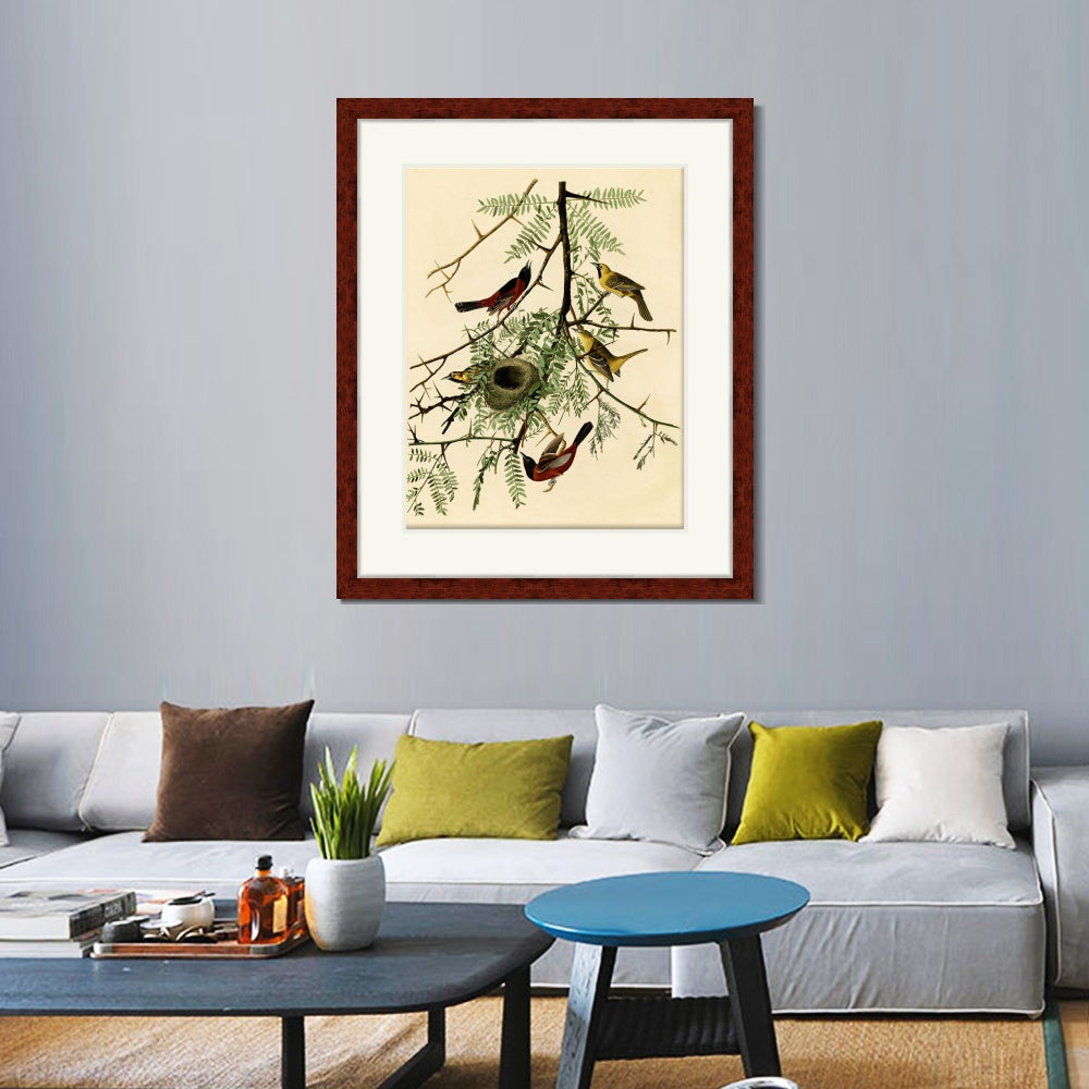 INVIN ART Framed Canvas Art Giclee Print Orchard Oriole by John James Audubon  Home Office Wall Art Decorations