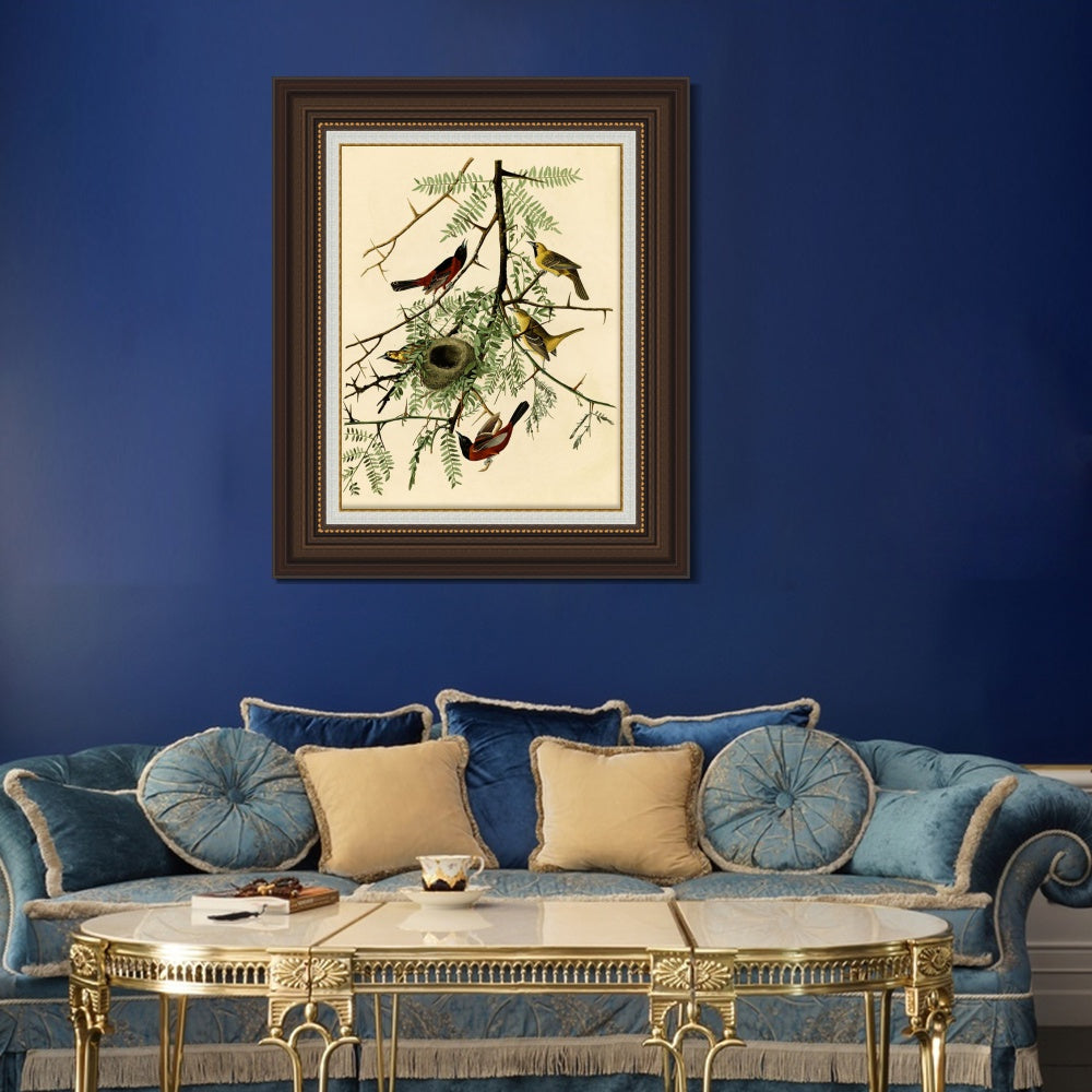 INVIN ART Framed Canvas Art Giclee Print Orchard Oriole by John James Audubon  Home Office Wall Art Decorations