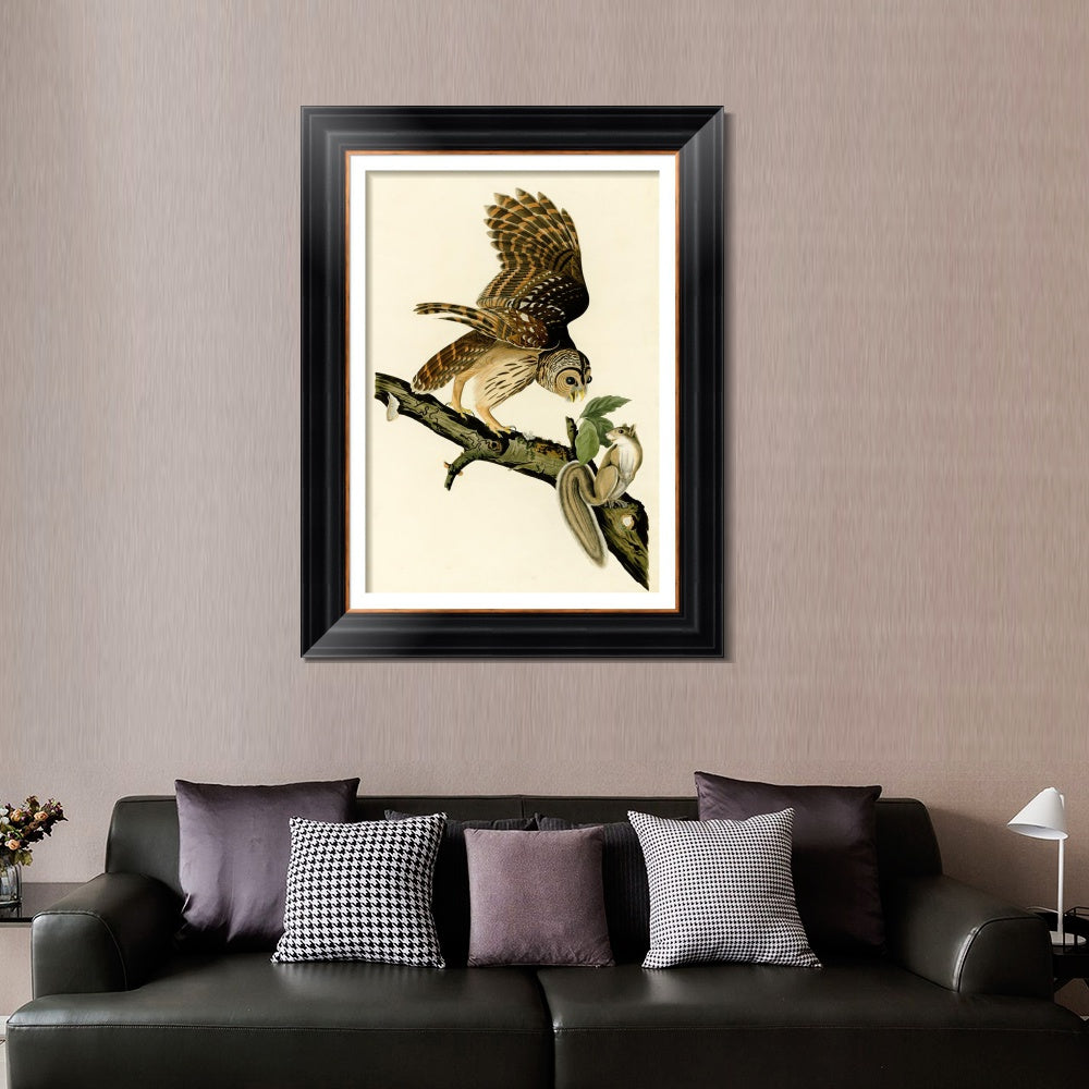 INVIN ART Framed Canvas Art Giclee Print Barred Owl by John James Audubon  Home Office Wall Art Decorations