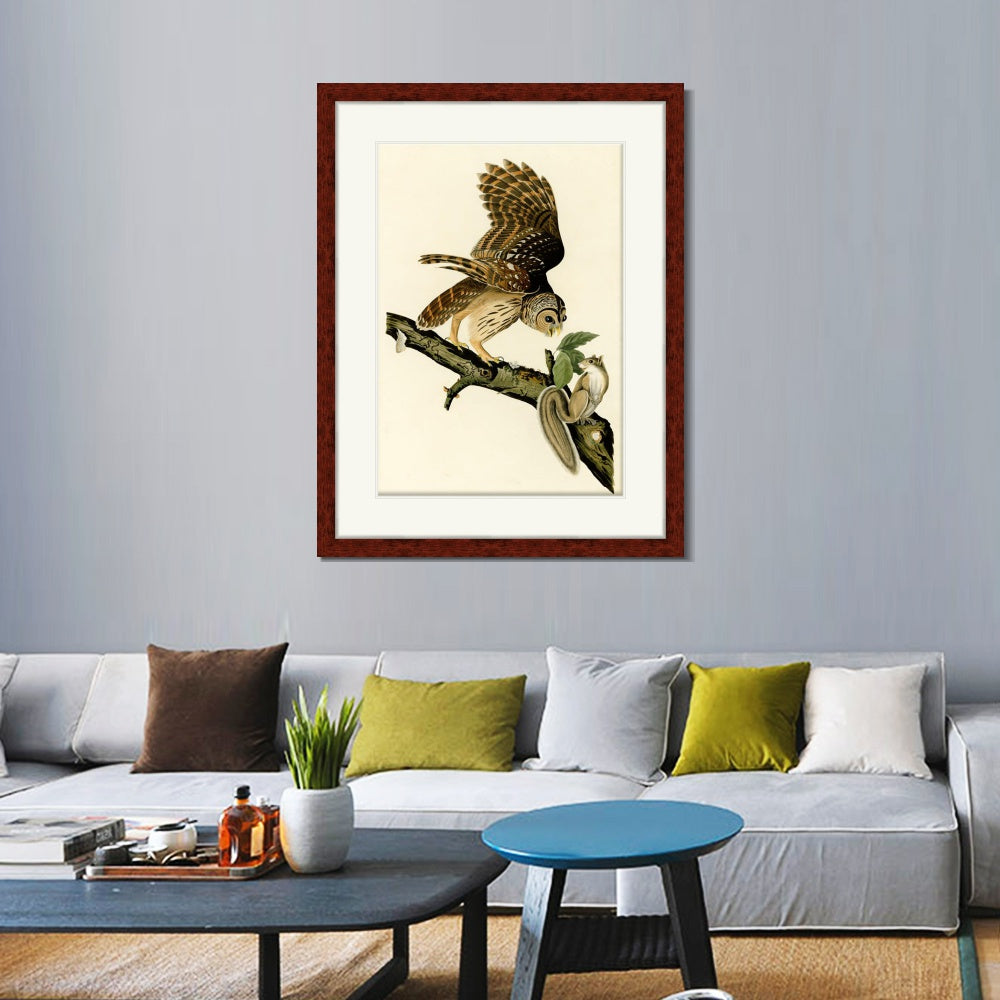 INVIN ART Framed Canvas Art Giclee Print Barred Owl by John James Audubon  Home Office Wall Art Decorations