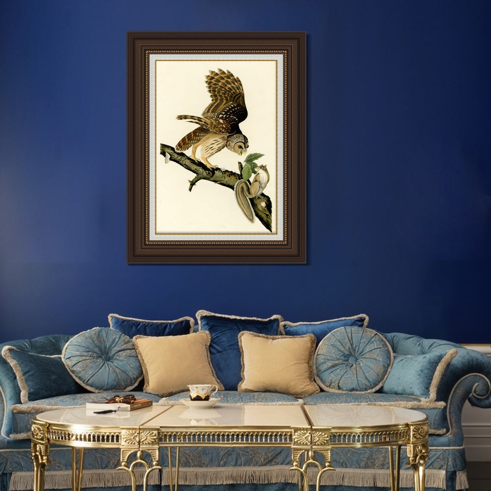 INVIN ART Framed Canvas Art Giclee Print Barred Owl by John James Audubon  Home Office Wall Art Decorations