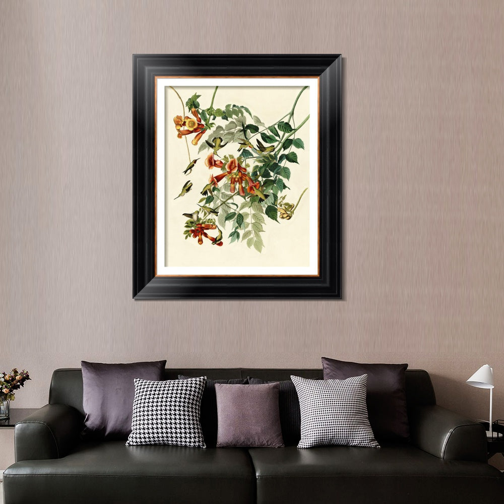 INVIN ART Framed Canvas Art Giclee Print Ruby Throated Humming Bird by John James Audubon  Home Office Wall Art Decorations