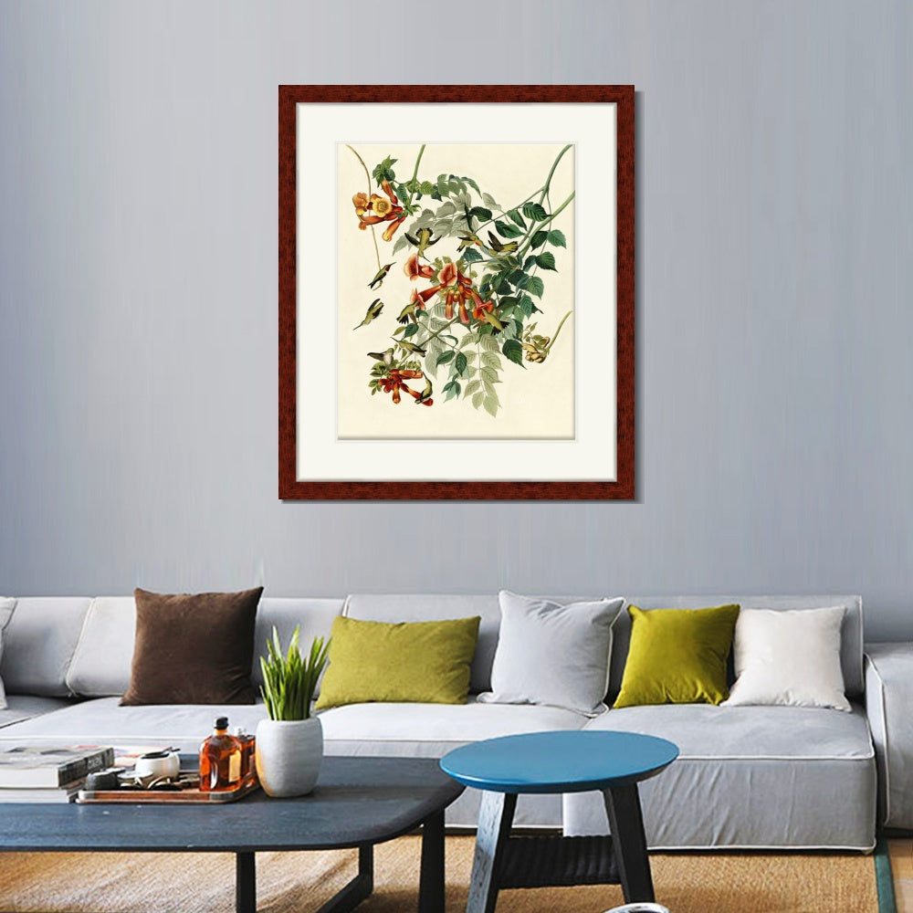 INVIN ART Framed Canvas Art Giclee Print Ruby Throated Humming Bird by John James Audubon  Home Office Wall Art Decorations