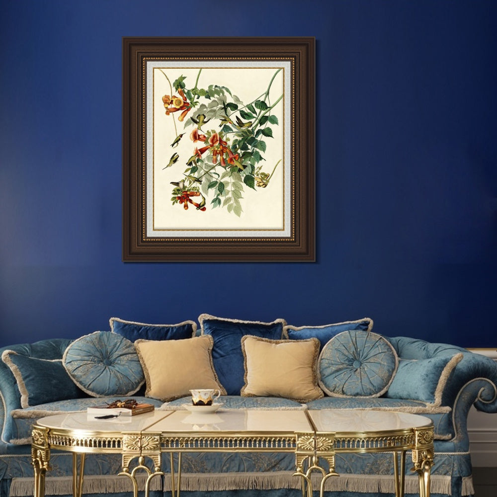 INVIN ART Framed Canvas Art Giclee Print Ruby Throated Humming Bird by John James Audubon  Home Office Wall Art Decorations
