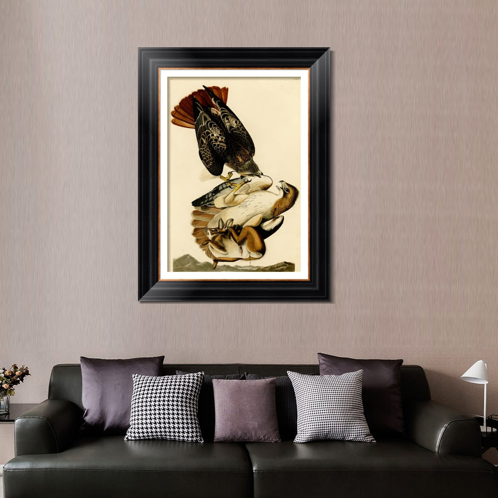 INVIN ART Framed Canvas Art Giclee Print Red Tailed Hawk by John James Audubon  Home Office Wall Art Decorations