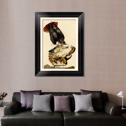 INVIN ART Framed Canvas Art Giclee Print Red Tailed Hawk by John James Audubon Living Room Home Office Wall Art Decorations