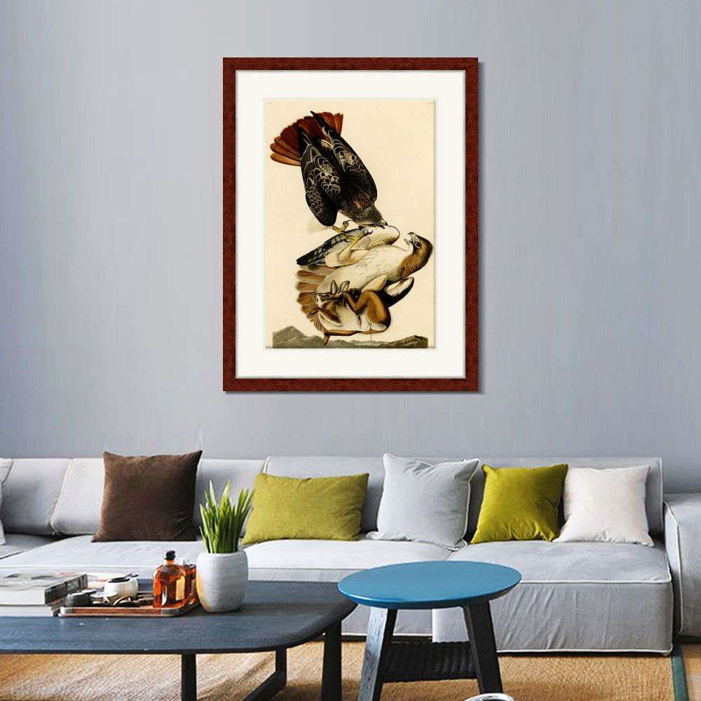 INVIN ART Framed Canvas Art Giclee Print Red Tailed Hawk by John James Audubon  Home Office Wall Art Decorations