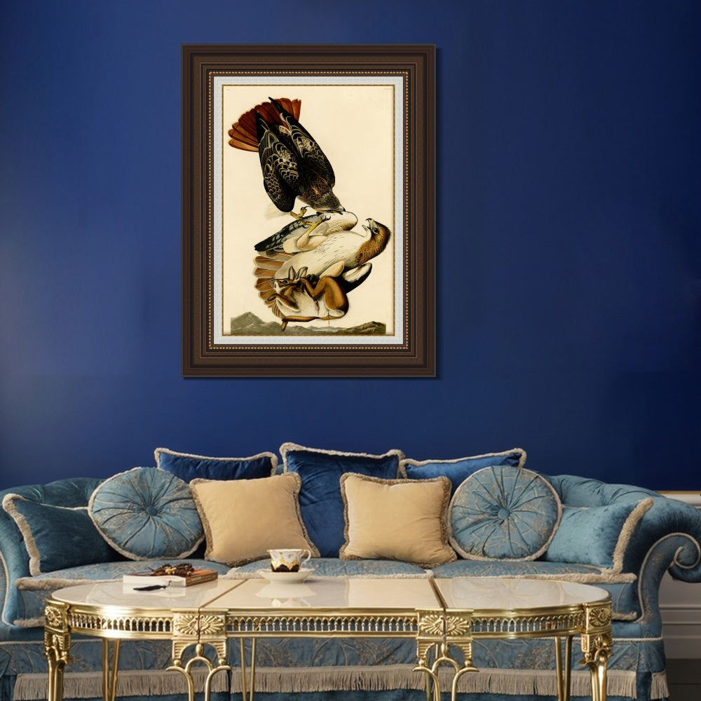 INVIN ART Framed Canvas Art Giclee Print Red Tailed Hawk by John James Audubon  Home Office Wall Art Decorations