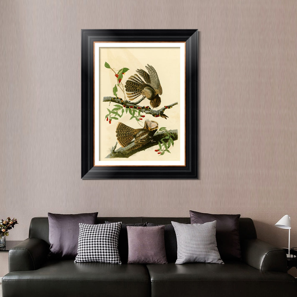 INVIN ART Framed Canvas Art Giclee Print Chuck Will's Widow by John James Audubon  Home Office Wall Art Decorations