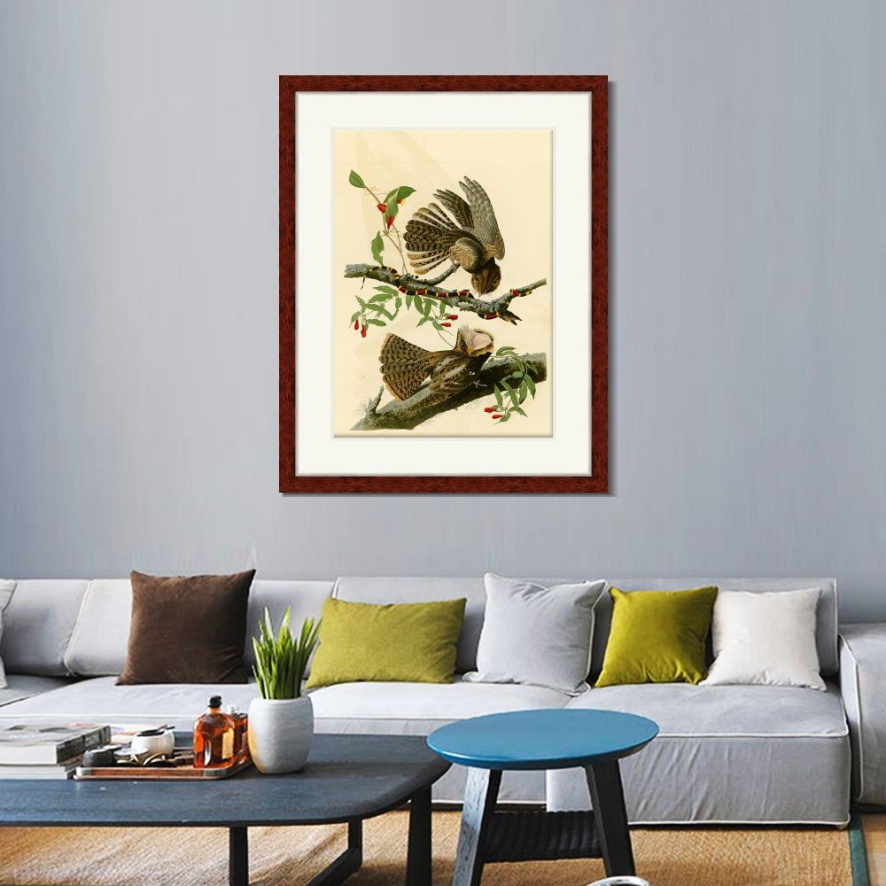 INVIN ART Framed Canvas Art Giclee Print Chuck Will's Widow by John James Audubon  Home Office Wall Art Decorations