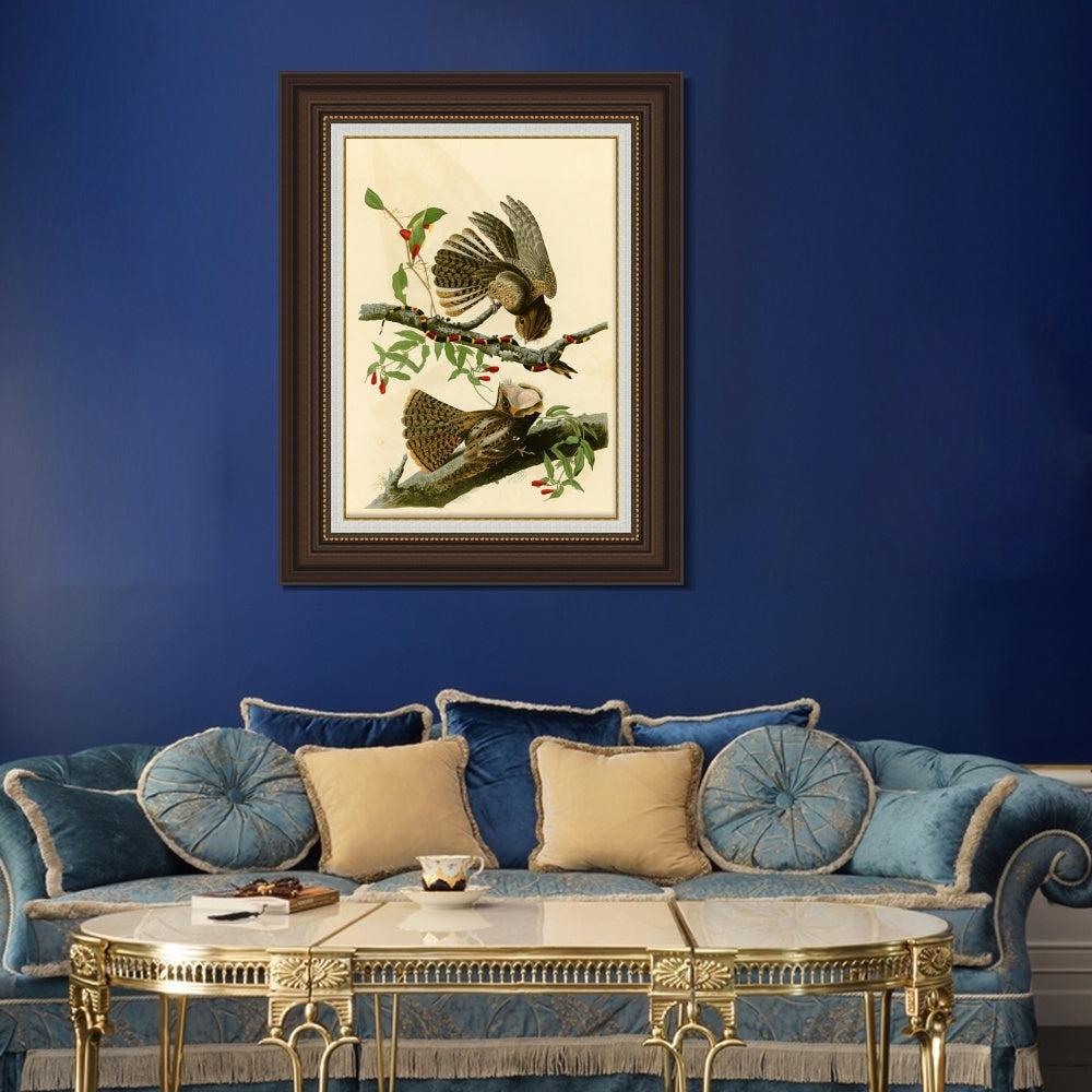 INVIN ART Framed Canvas Art Giclee Print Chuck Will's Widow by John James Audubon  Home Office Wall Art Decorations
